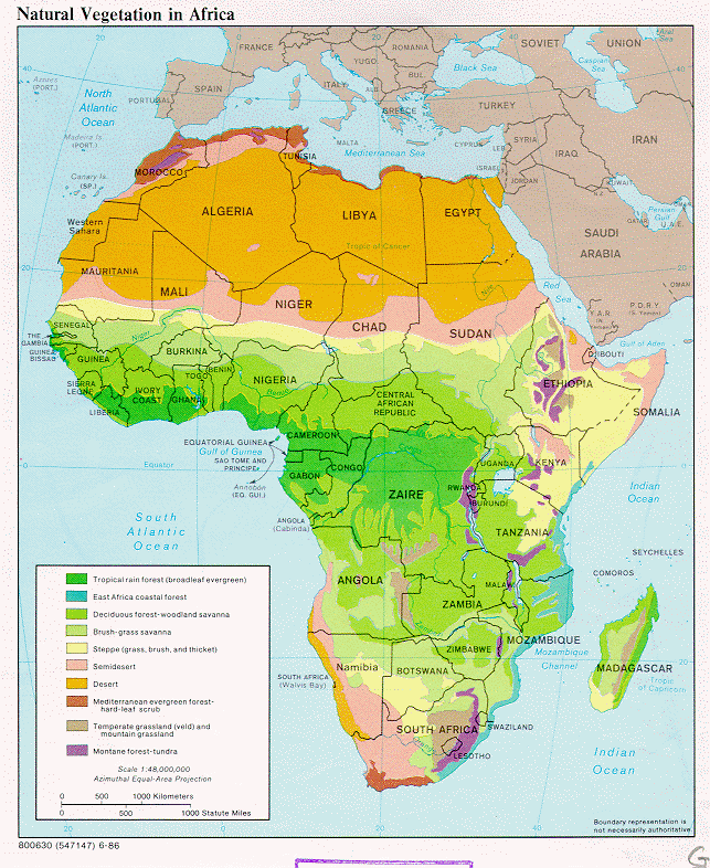 topography of africa. Natural Vegetation in Africa