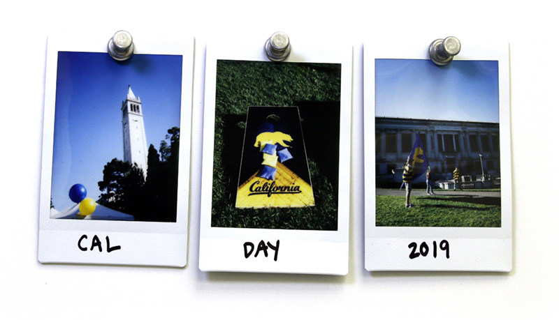 Polaroids of UC Berkeley on Cal Day.